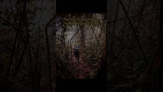 The Mountain of No Return? Saptha Kanya Mystery