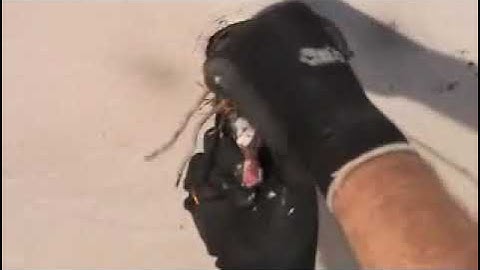 A light fixture wiring dilemma