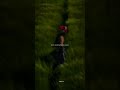 People You Know - Selena Gomez | lyrics | aesthetic | english song | Slowed | whatsapp status #viral