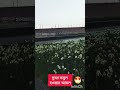 দুআ কবুলের নিয়ম
