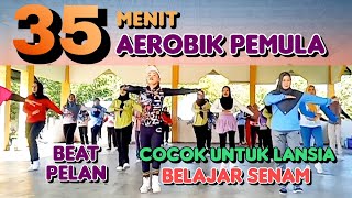 35 MENIT AEROBIK PEMULA BELAJAR SENAM | MUSIK VIRAL BEAT PELAN | Irna Chendani 