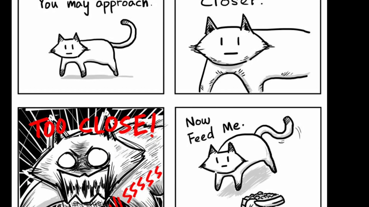 I don t have a cat. Комиксы про кошек. чеширский кот комикс. comic cat шрифт. комикс про кошку раскраска.