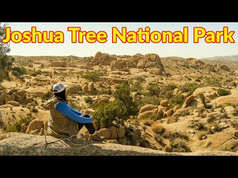 Vídeo: Parc nacional de Joshua Tree: La guia completa