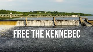 Free the Kennebec