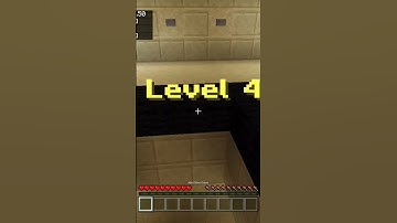 The X Dropper level 4 in Minecraft