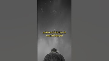 Niềm vui sâu nhất không đến từ việc "có được" #baihoccuocsong #nguyenvanhuan #phattrienbanthan