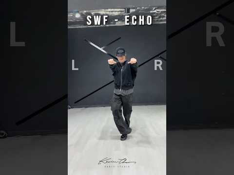 Echo | challenge #seventeen #woozi #swf #kpop #dance #kcds #svt #dancestudio #kevinchoi #seoul