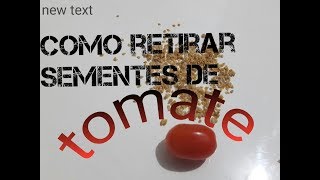 Como plantar tomate direto ou retirar sementes para plantar