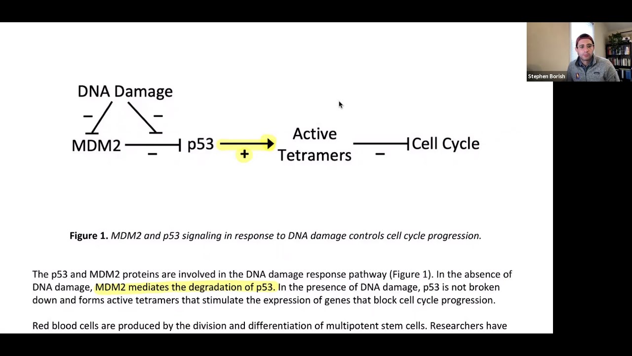 frq dna damage response pathway