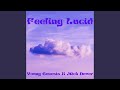Feeling Lucid mp3