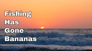 Download Lagu Fishing Has Gone Bananas MP3