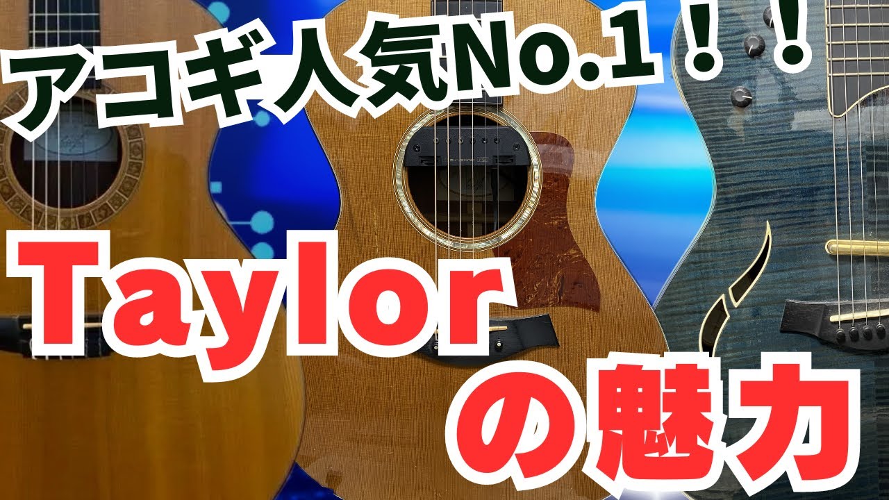 Baby Taylor 【フユチャンネルさん】専用 Baby Taylor 【フユチャンネルさん】専用
