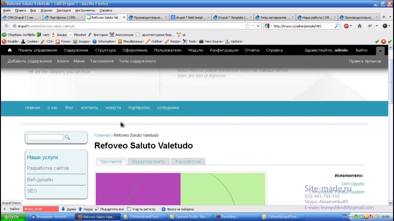 Drupal fields