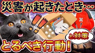 【災害時の備え】猫は避難所に連れて行けないってホント「じゃあどうしたら良いの」なんて疑問にお応えします防災対策のグッズもご紹介