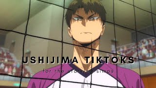 Ushijima Crumbs For The Simps Ushijima Tiktoks