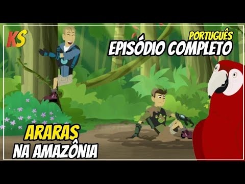 Kratts series   Poder da Arara   episdio completo em portugus   aventura com os kratts   cincia