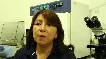 MacArthur 100&Change Video: The Latin American Precision Medicine Initiative