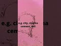 Sound of 'C' #grammar #englishgrammar #pronunciation #trending #govtschool #englishspeaking