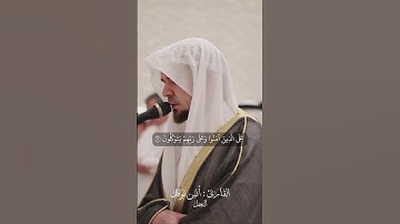 النحل || أنس نوفل #أنس_نوفل #اكسبلور #لايك #ترند #قرآن #تلاوات #صدقة #إسلام #anas_noufel #الله