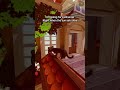 What do you think of the night section in my game? #gamedesign #indiegames #gamedev #gaming #fypシ