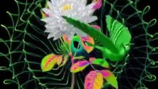 İyi Bayramlar Günaydın