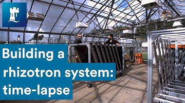 Future Food | building a rhizotron system: time-lapse