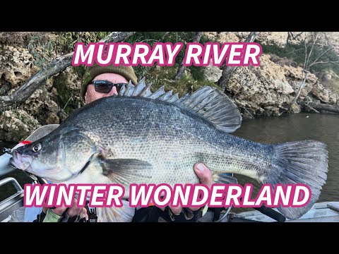 simoncardonefishes post: Winter fishing for Callop &amp; Cod on the Murray River in South Australia