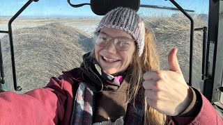 Mama Feeding Cows While Im Laid Up