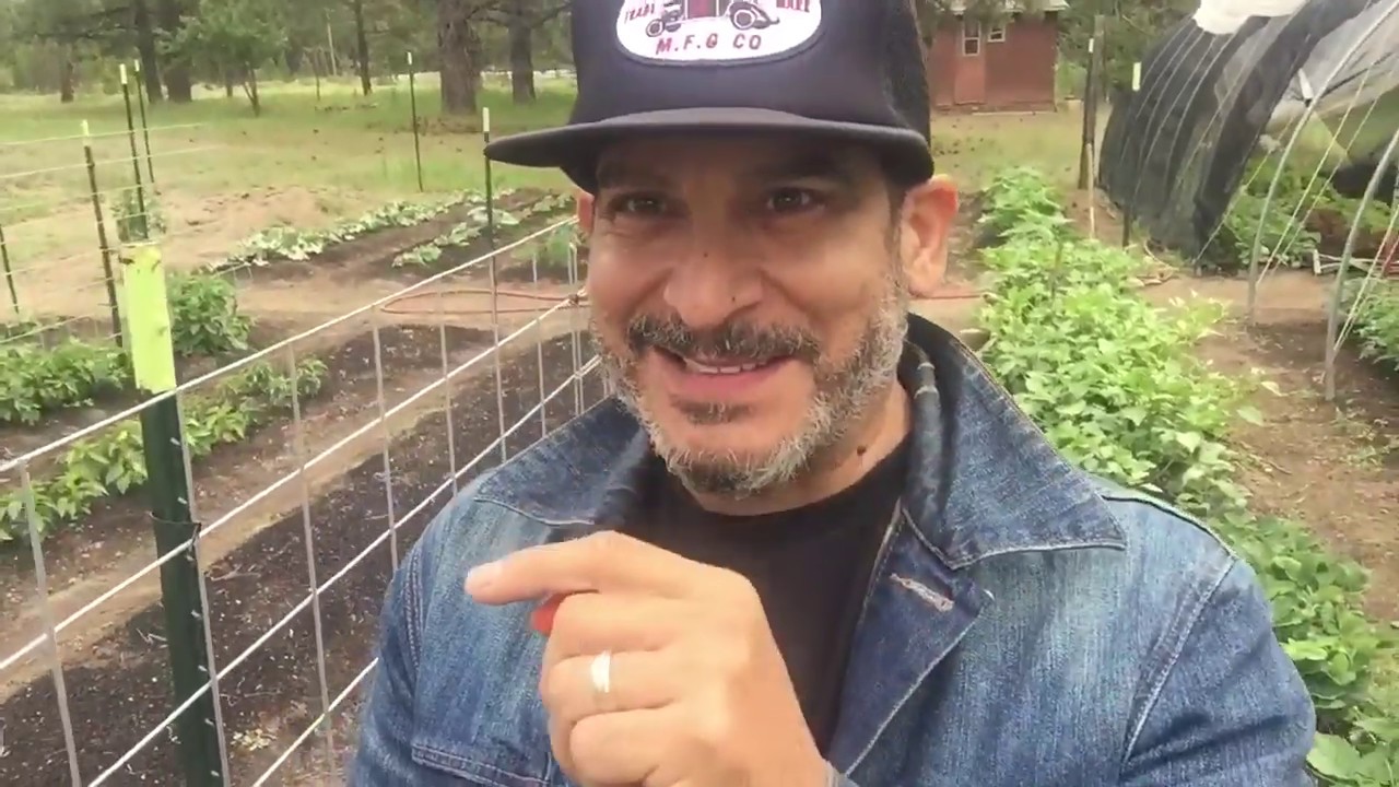 Easy Build Turkey Shelter and Garden Update