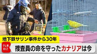 オウム真理教スポーツ新聞 Amazon.co.jp: 『オウム真理教麻原代表逮捕 計3紙』95年 日本
