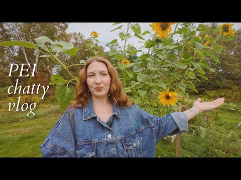 Pastoral Musings: Country Life, Autumn, & Channel Updates