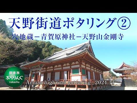 天野街道ポタリング② 穴地蔵–青賀原神社–天野山金剛寺_2024.11