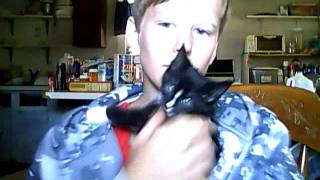 Capture 20111002