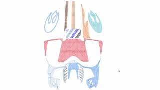 Star Wars Stormtrooper helmet vector graphics to Digitized Embroidery