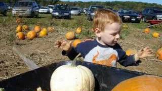 The Pumpkin Patch