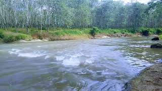 Tranquil River Breeze: Relaxing Sounds and Views