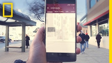 Meet the Brain - Phone Focus | Brain Games