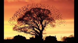 Download Lagu NuTone ft. Natalie Williams - System (Keeno Remix) MP3