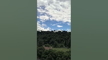 القارئ يحيى الشمايله آيات من سورة الحجر