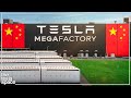 Tesla Announces NEW Megafactory China!