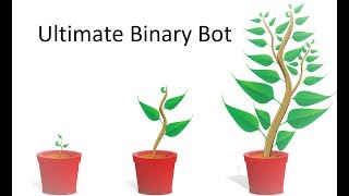Ultimate Binary Bot - 25 $ in 40 minutes