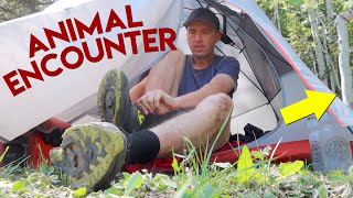 Noises Outside My Tent 🙀 - SCARED &amp; ALONE in the Middle of the Forest