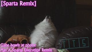 Sparta Remix Gabe Howls At Phone Has A Sparta Execution Remix