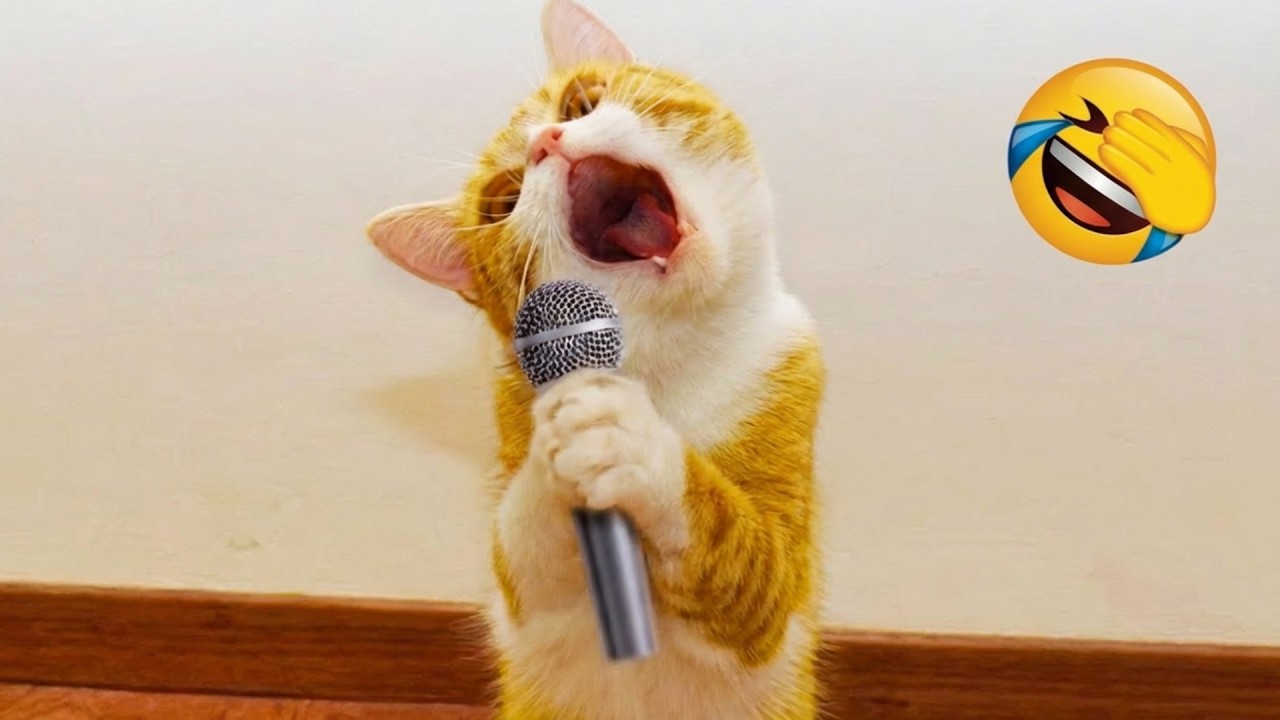 These funny animals will make your day better 😆