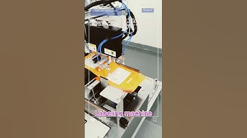 Automatic plane labeling machine |auto labeler for bag| automatic paging type labeler for bags #fyp