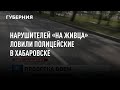 Нарушителей «на живца» ловили полицейские в Хабаровске