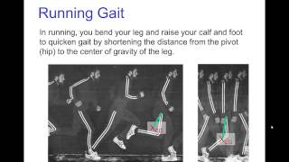 Circular Arcs: Swinging Motion (Unscripted)