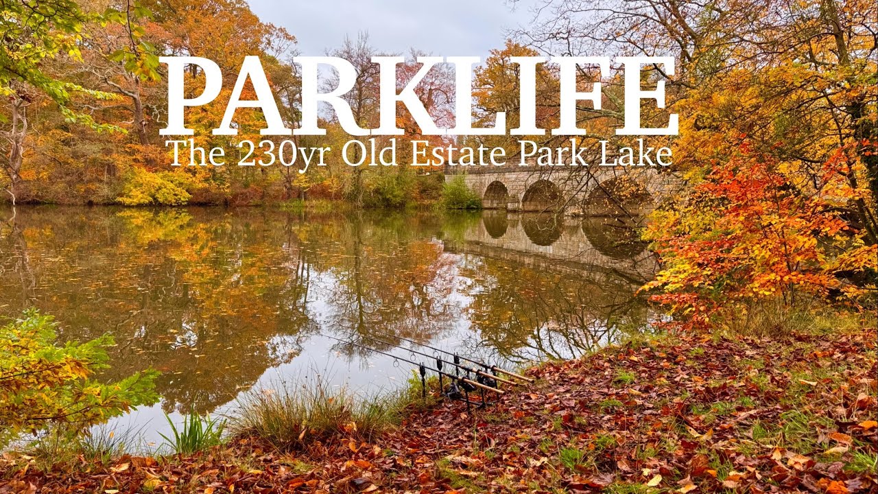 42. Carp Fishing The 230yr Old Estate Lake | THE OTHER SIDE 🍂😍🍂