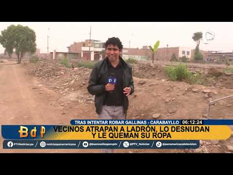 Ladrón de gallinas es amarrado por vecinos de Carabayllo: “le hemos echado látigo"