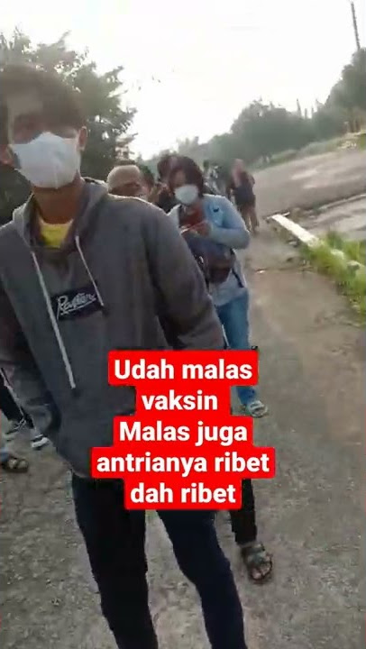 SHORTS || Udah kek antri minyak wkwk #shorts #dadut #kocak #story #vaksincovid19 #antrianpanjang